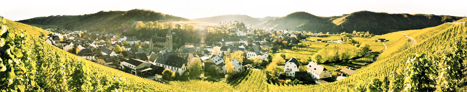 Weingut Stadtfeld-Kranz in Neumagen-Dhorn